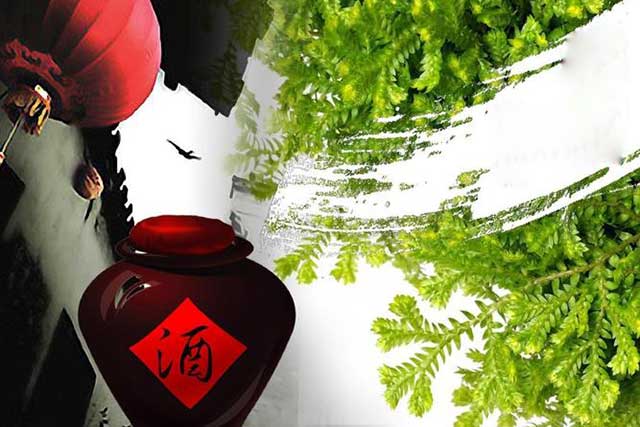 春分诗酒词丨把酒当歌，品酒品生活，探春探人生(图2)