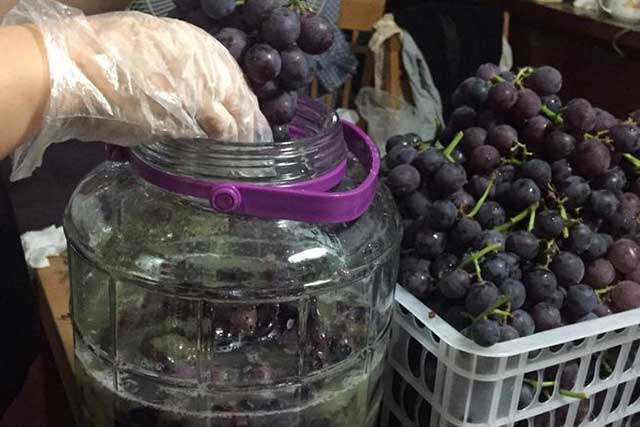 酒说丨怎么知道自制葡萄酒有没有坏？ (图1)