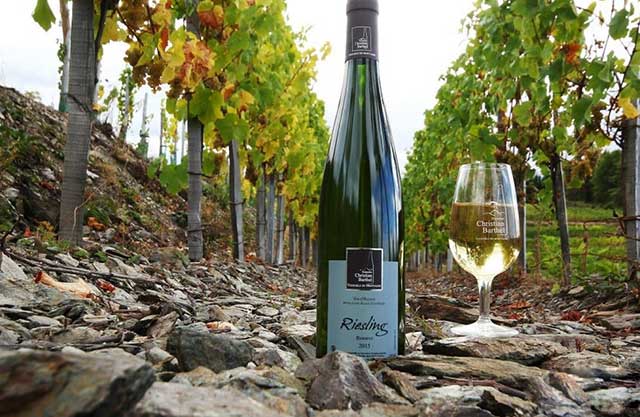 酒说丨雷司令(Riesling)——悬崖之巅的小浪漫(图2)