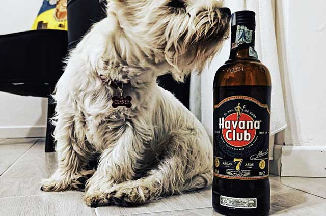 酒说丨关于"航海家之酒"的朗姆酒，你了解多少？(图2)