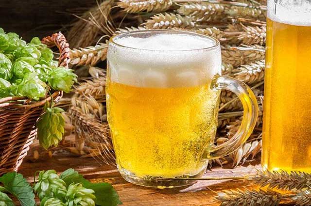 酒说丨啤酒花有什么作用？(图2)